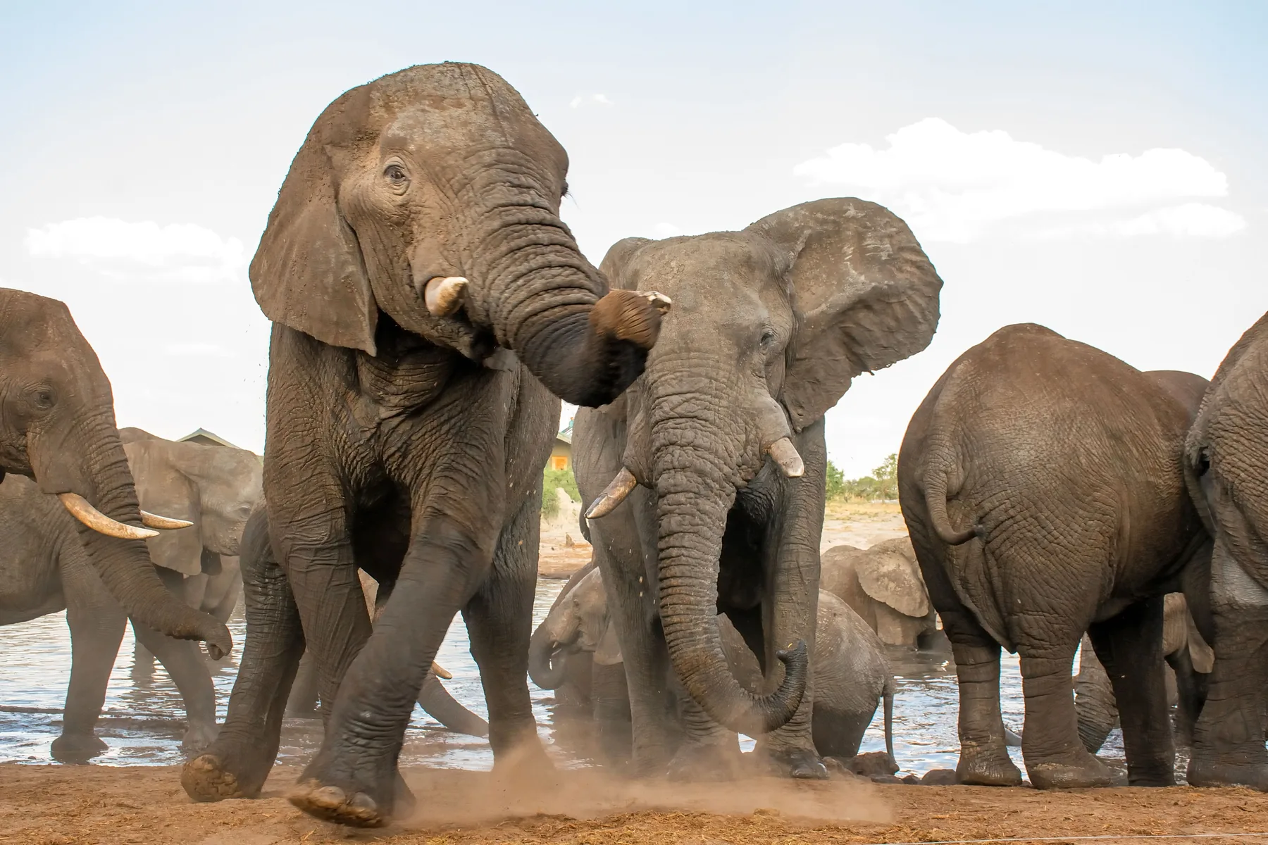 Johannesburg and Gauteng tour and day trip shuttle service